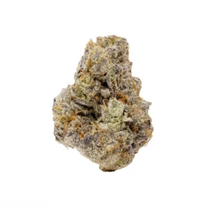 ASTRO WARRIOR 🥷🏻👽