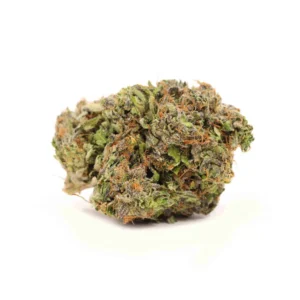 { z - Blue Fin Tuna Kush