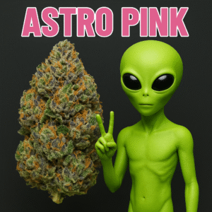 Astro Pink 👽🌸