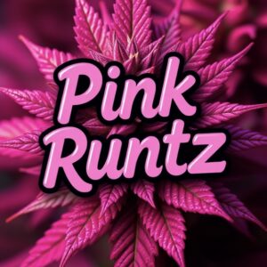 Z - Pink Runtz