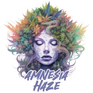 Amnesia Haze